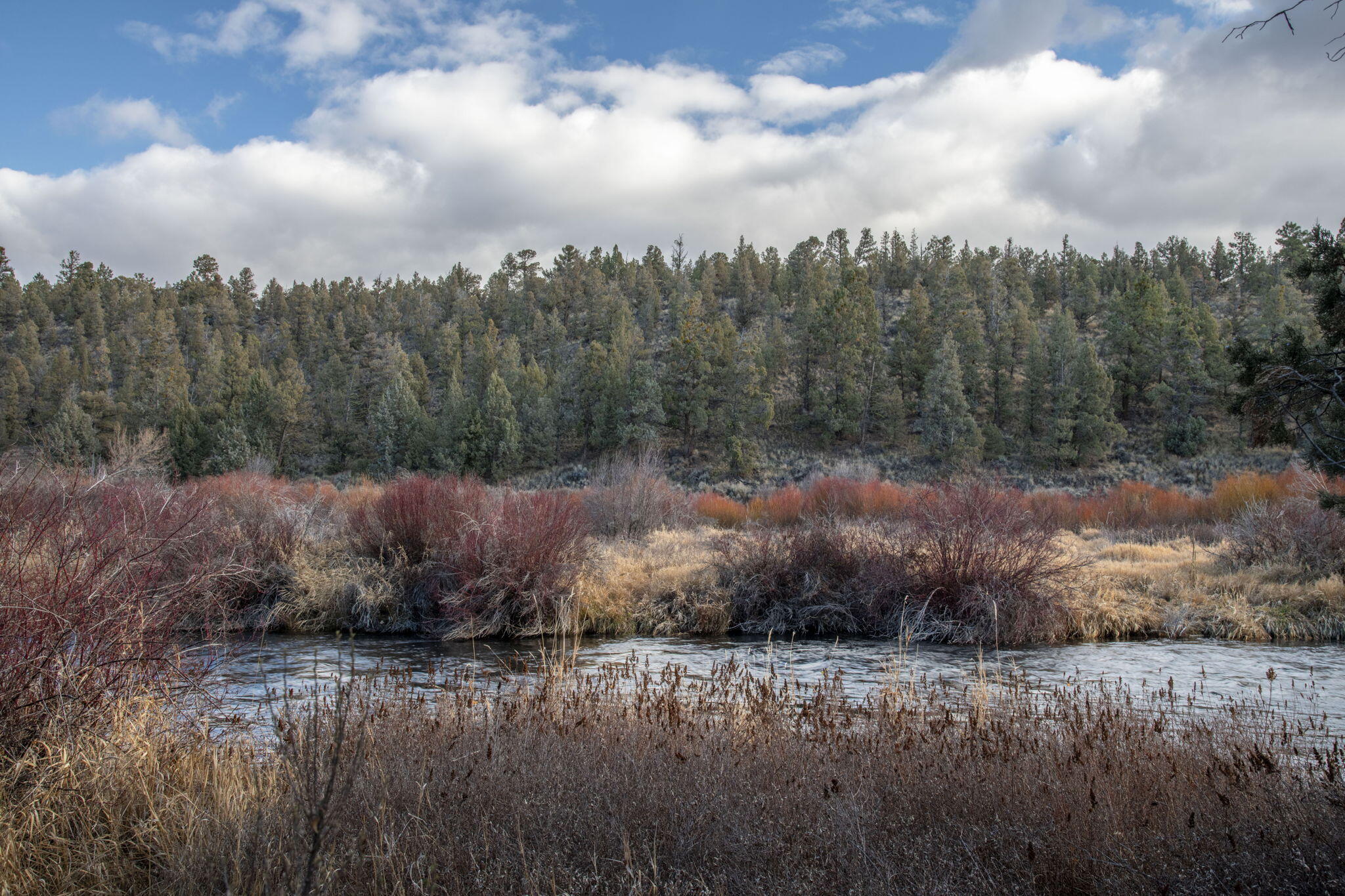 Deschutes River Trac - Residential