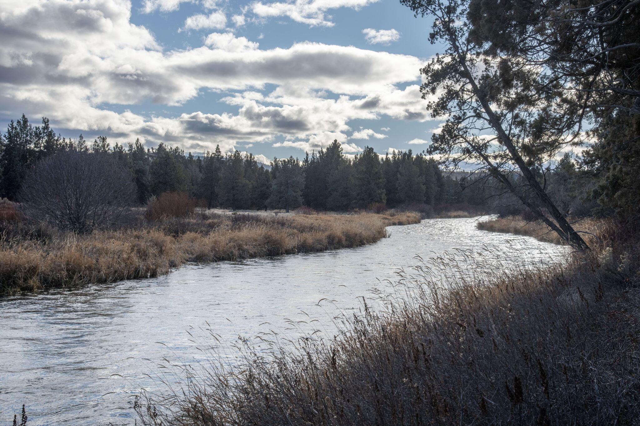 Deschutes River Trac - Residential