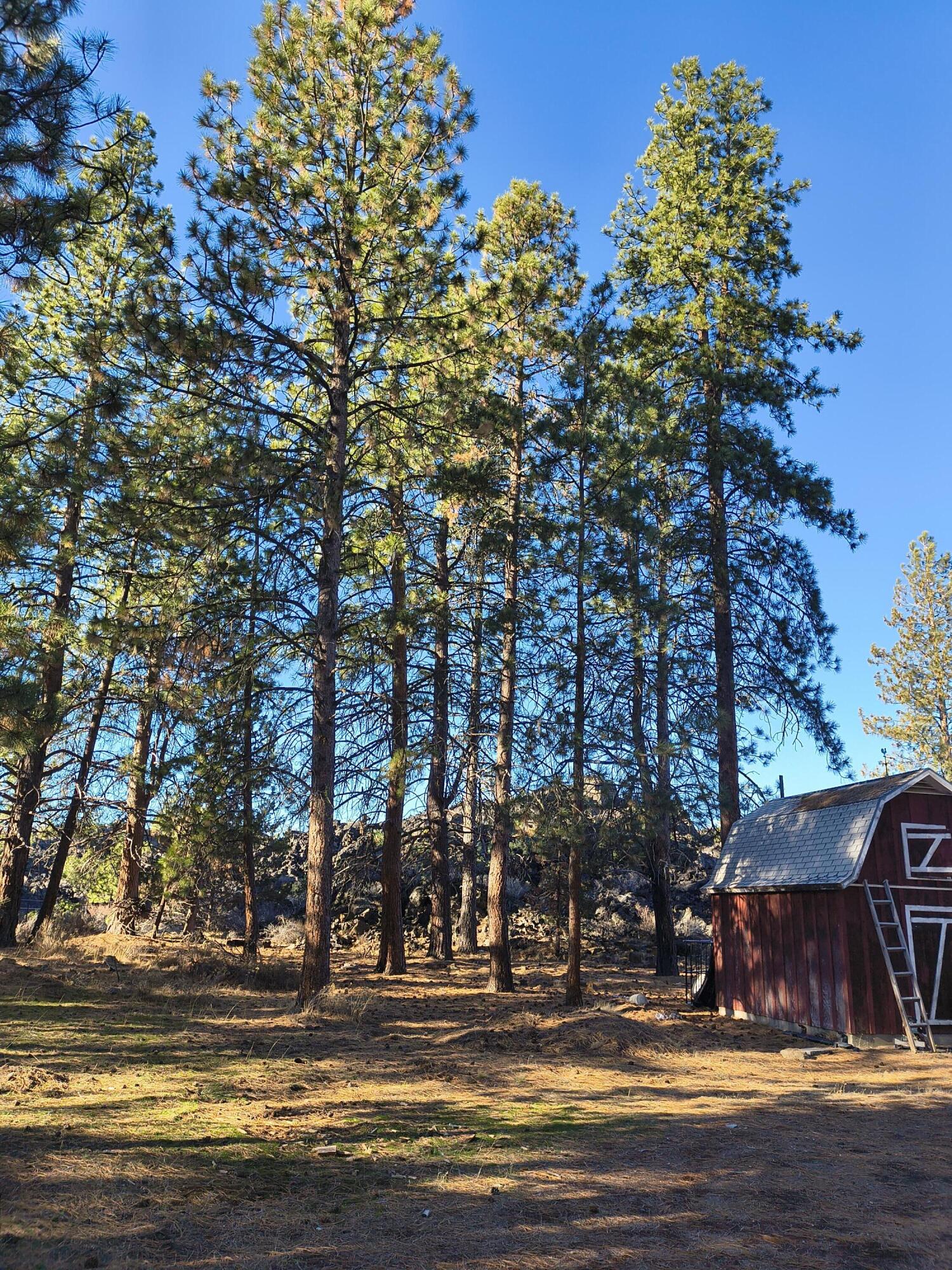 60193 Turquoise Road