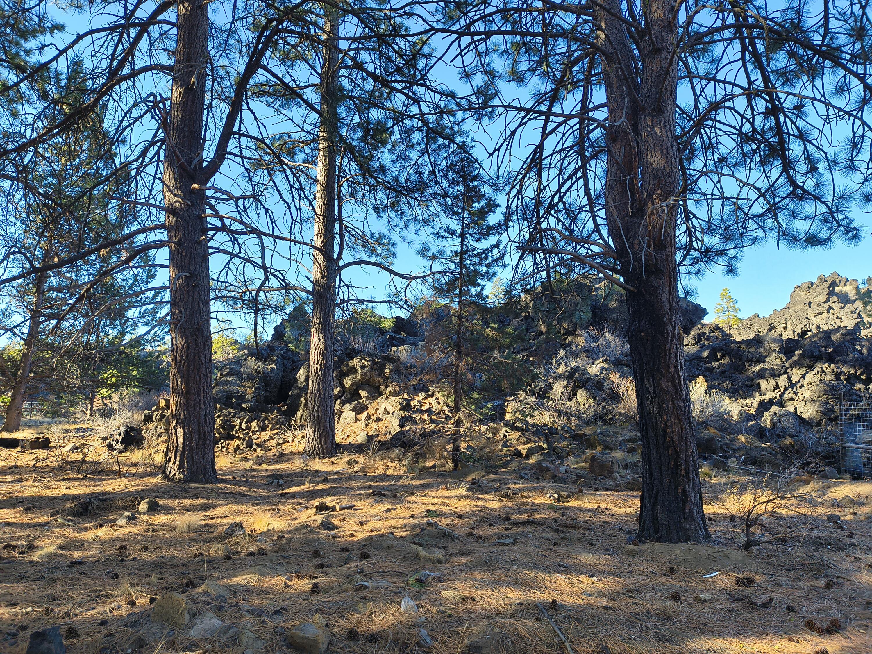 60193 Turquoise Road