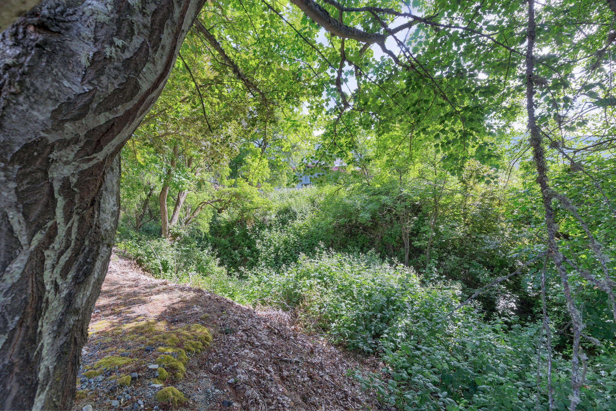 Country View Mobile Home Park - Residential