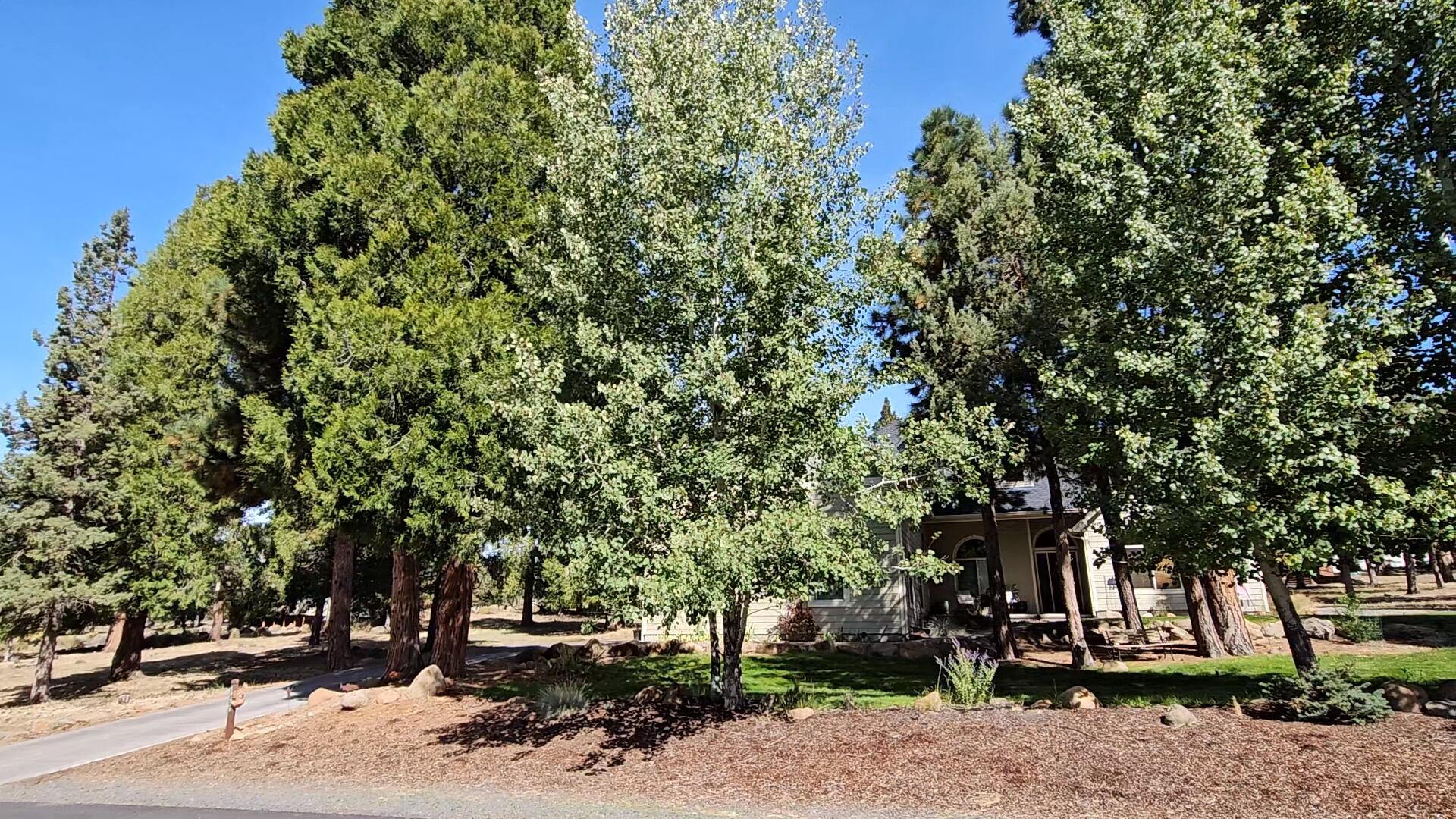 Running YResort - Residential