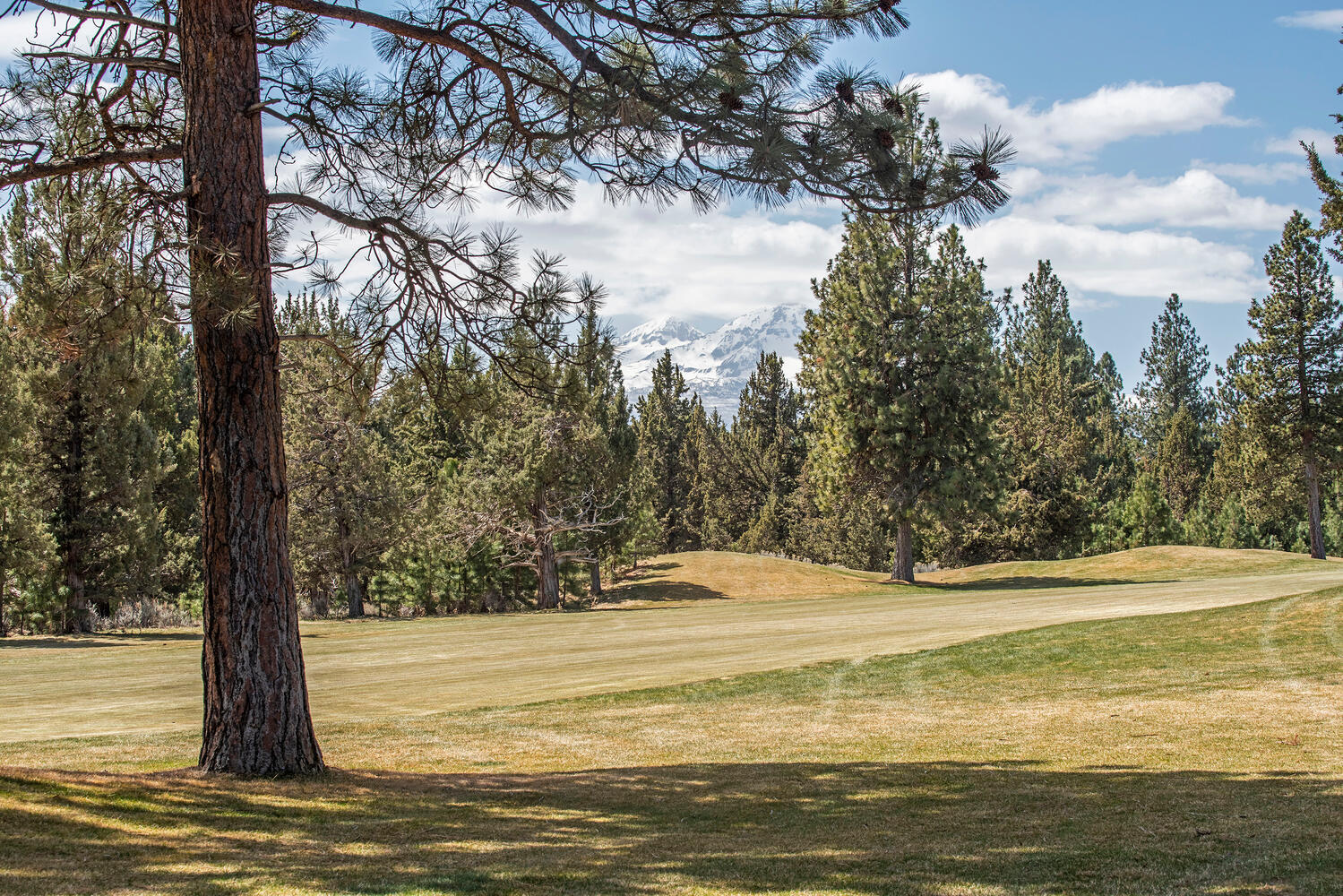 Aspen Lakes Golf Est - Residential