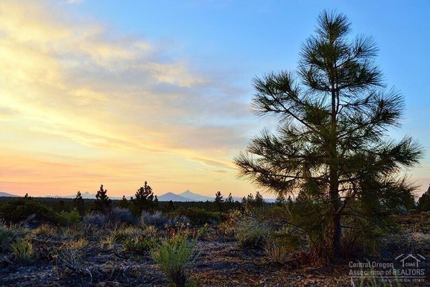 Discover this remarkable homesite in the highly coveted neighborhood on The Tree Form, a special community just West of Bend's city limits, offering fifty 2-acre homesites and hundreds of acres of open space. Situated in the heart of the neighborhood, this sunny homesite offers mountain vistas, close to National Forest Lands too. With easy access to Shevlin Park and Phil's Trail, and minutes from downtown Bend, dining, shopping, and world class outdoor adventure, this property offers tranquility and privacy, yet is very accessible. Create your Central Oregon dream property!