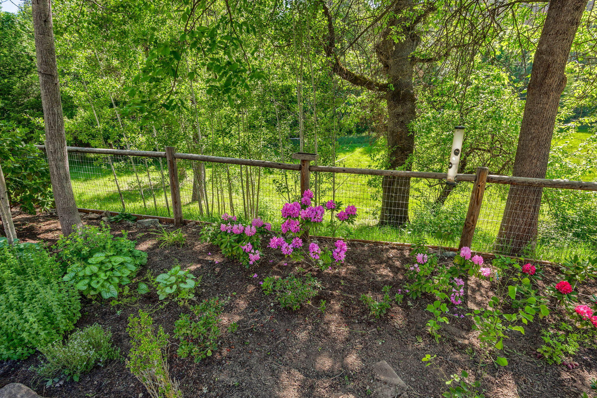 6268 Little Applegate Road