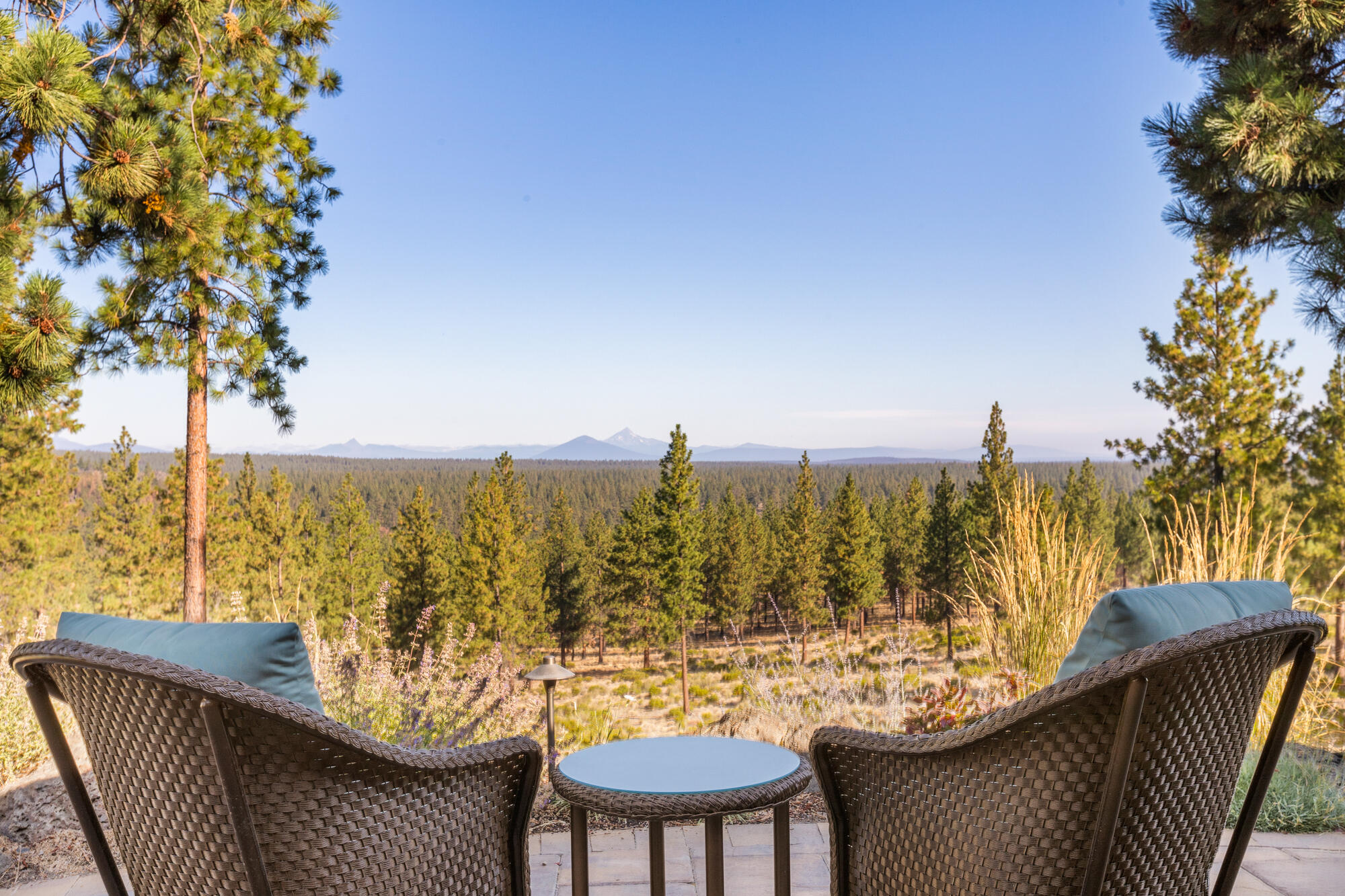 Tree Farm - Residential