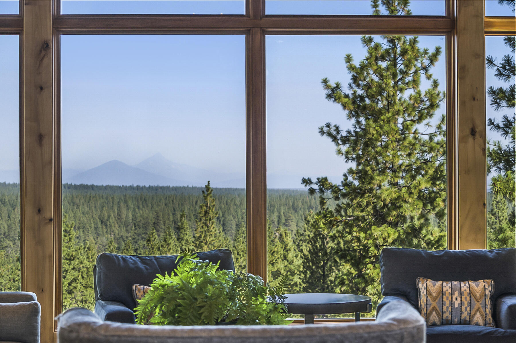 Tree Farm - Residential