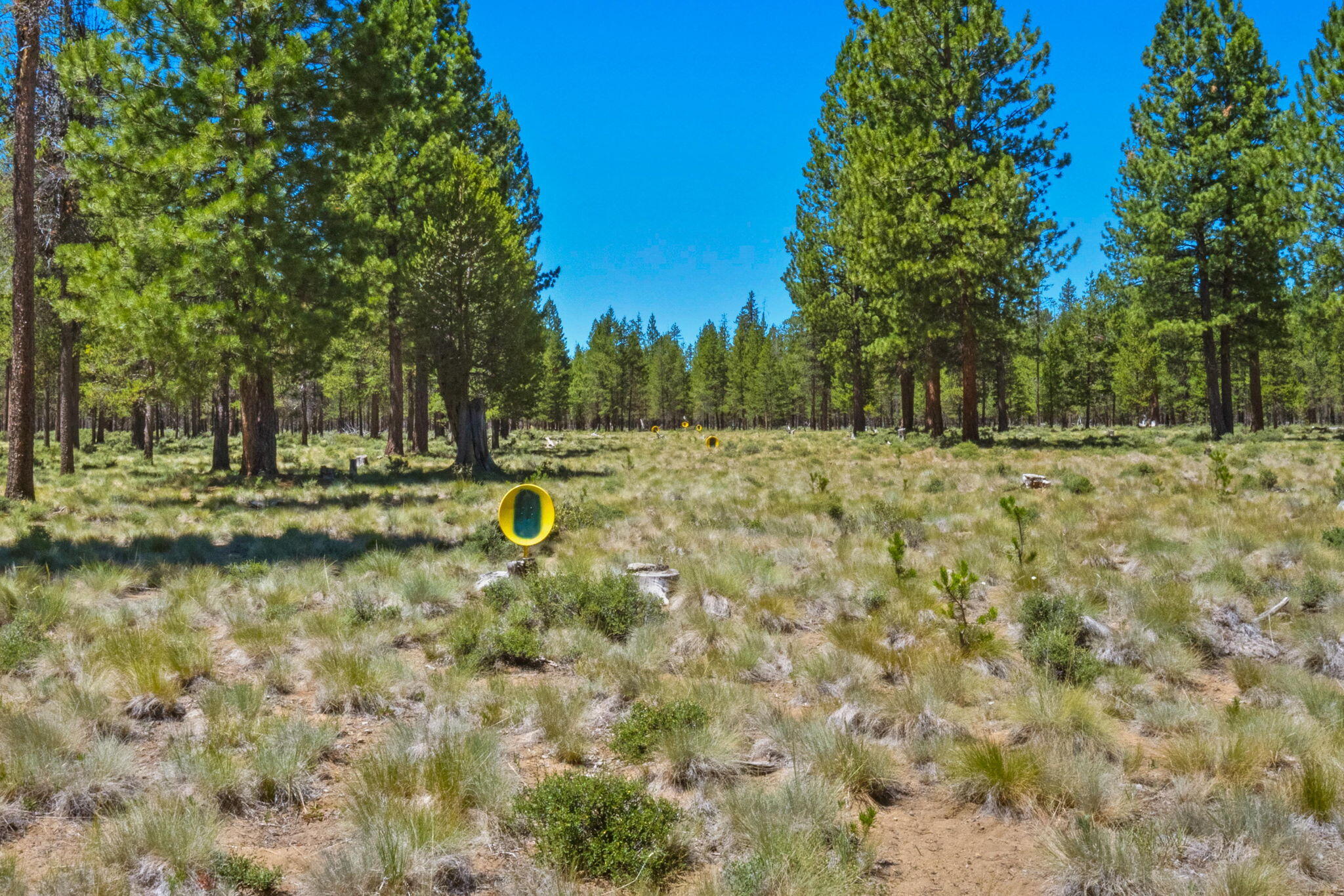 Pinewood Country Est - Residential