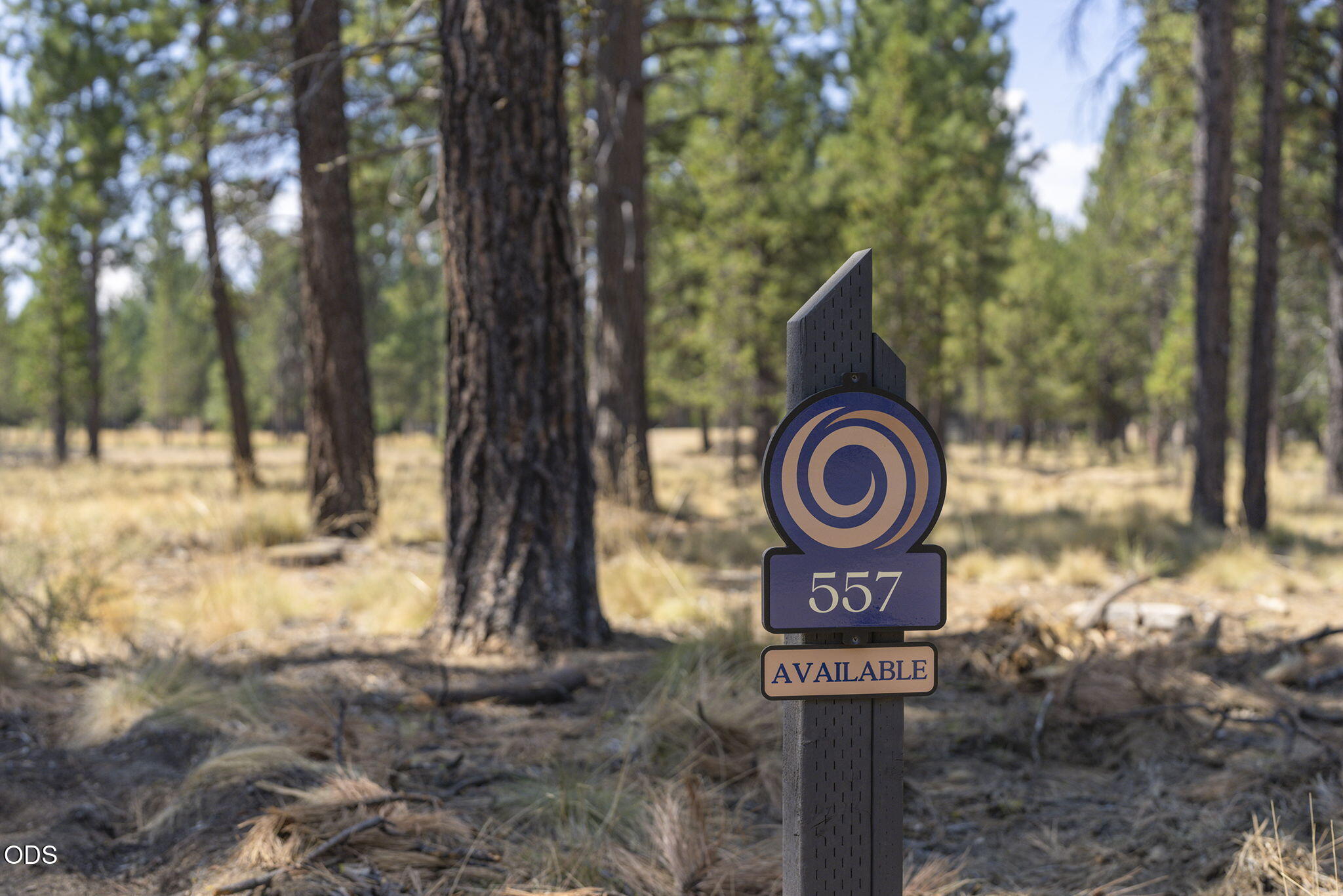 56686 Red Bark Lane 557