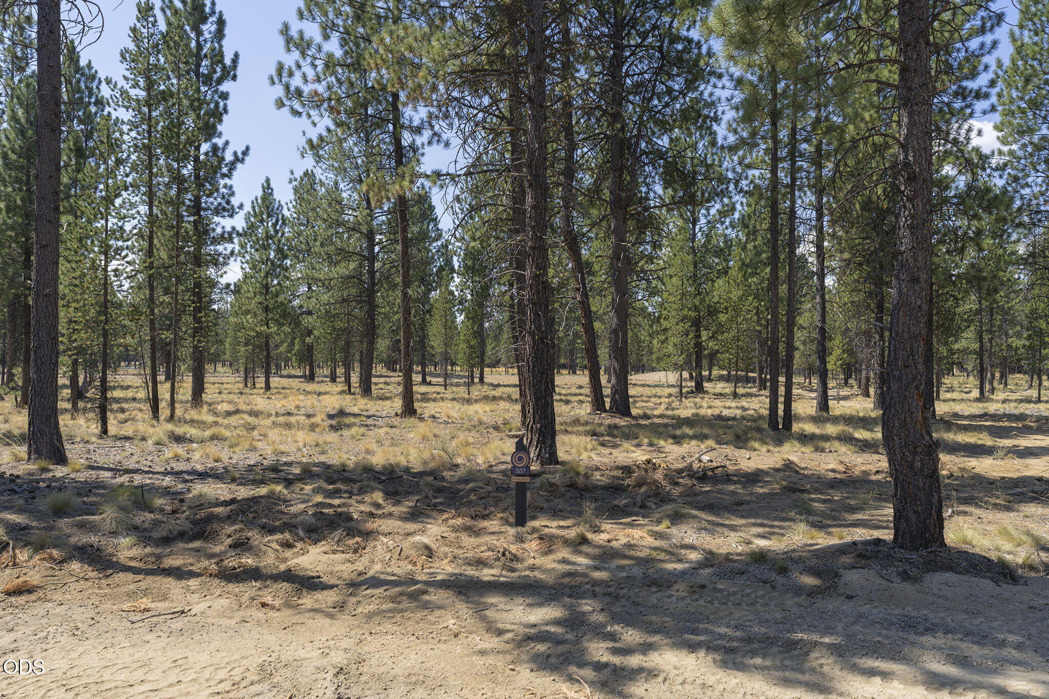 56686 Red Bark Lane 557