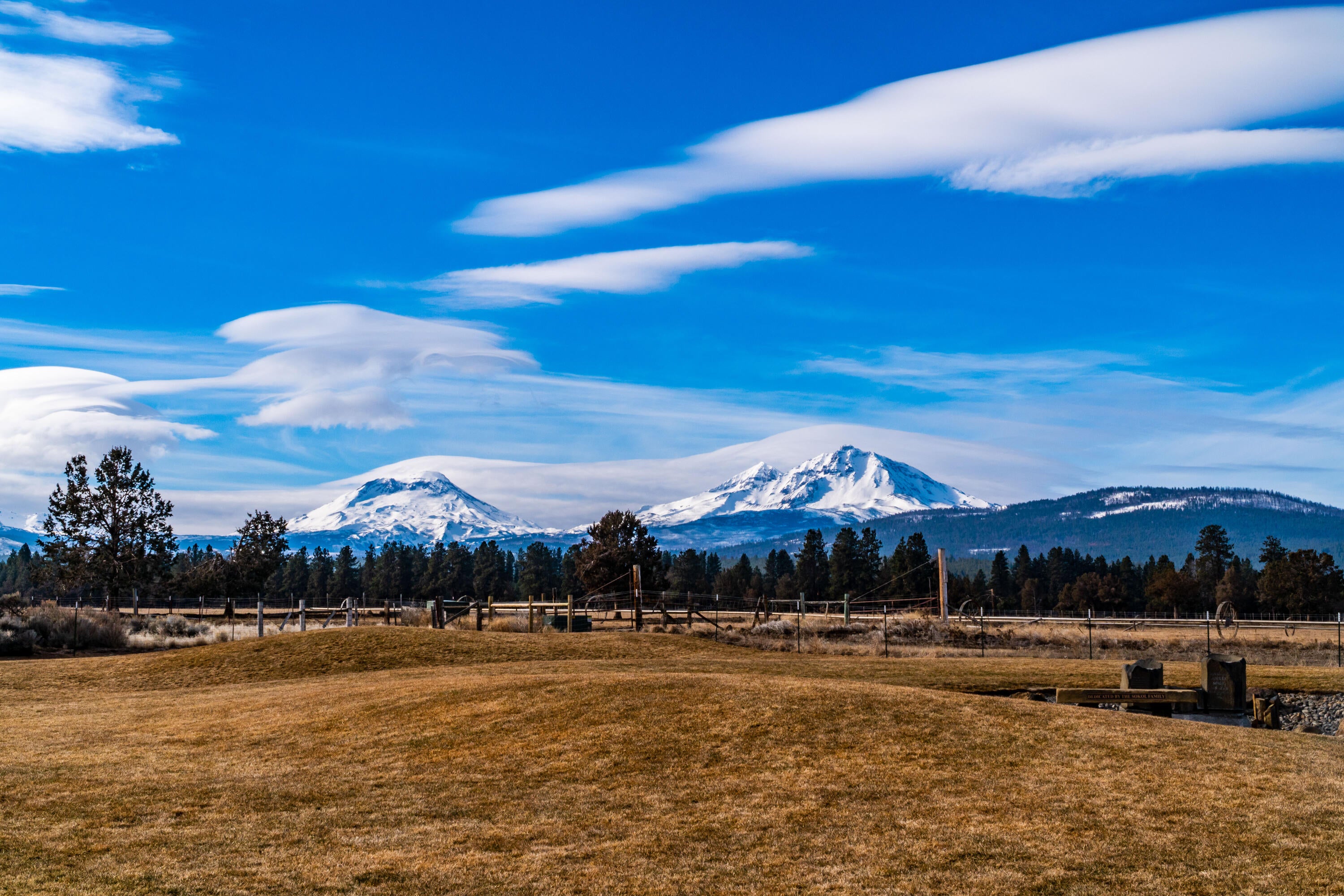 Pine Meadow Vill - Residential