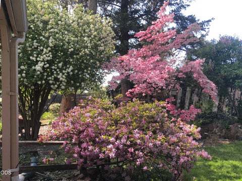 Tiny photo for 1621 Gayety Lane, Medford, OR 97504 (MLS # 220223217)