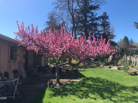 Tiny photo for 1621 Gayety Lane, Medford, OR 97504 (MLS # 220223217)