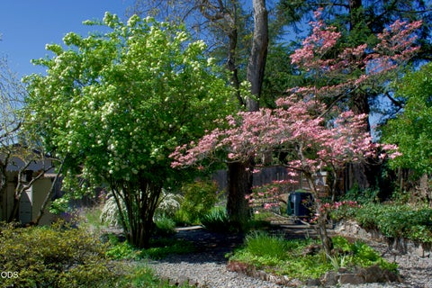 Tiny photo for 1621 Gayety Lane, Medford, OR 97504 (MLS # 220223217)
