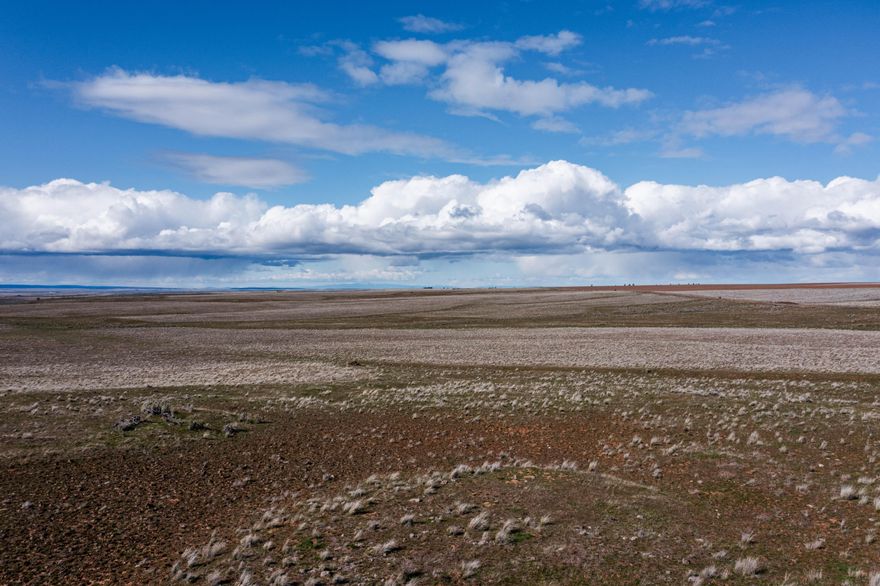 Welcome to Bardenhagen Grass Valley Farms in Sherman County. Liberty Lane is one of two farms for sale and spans 1,184 acres with seasonal water, native bunch grasses, and natural beauty in a region known for seemingly endless outdoor activities. The farm is close to the Deschutes and John Day Rivers offering prime fishing opportunities, while simultaneously offering up to 2 Buck Deer and Bull Elk LOP tags in Unit 40 (buyer to confirm with ODFW). This farm has 765.33 ac enrolled in the Conservation Reserve Program producing $36,728 annually, with additional income from an annual grazing lease. The farm is strategically located close to Hwy 97, has solar farm potential, boasts diverse topography, and abundant wildlife. All while being driving distance from some of north Central Oregon's iconic landscapes. With multiple opportunities becoming of the discerning buyer, this is not just land; it's the gateway to a legacy in the
Pacific Northwest.