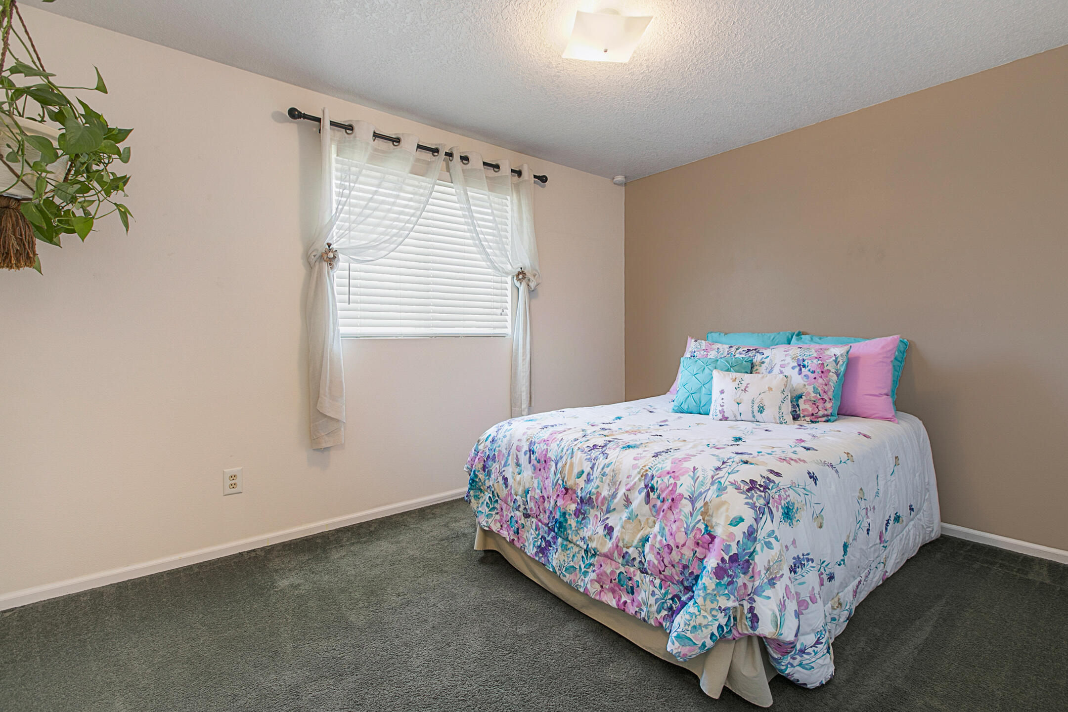 Hayden Village - Residential