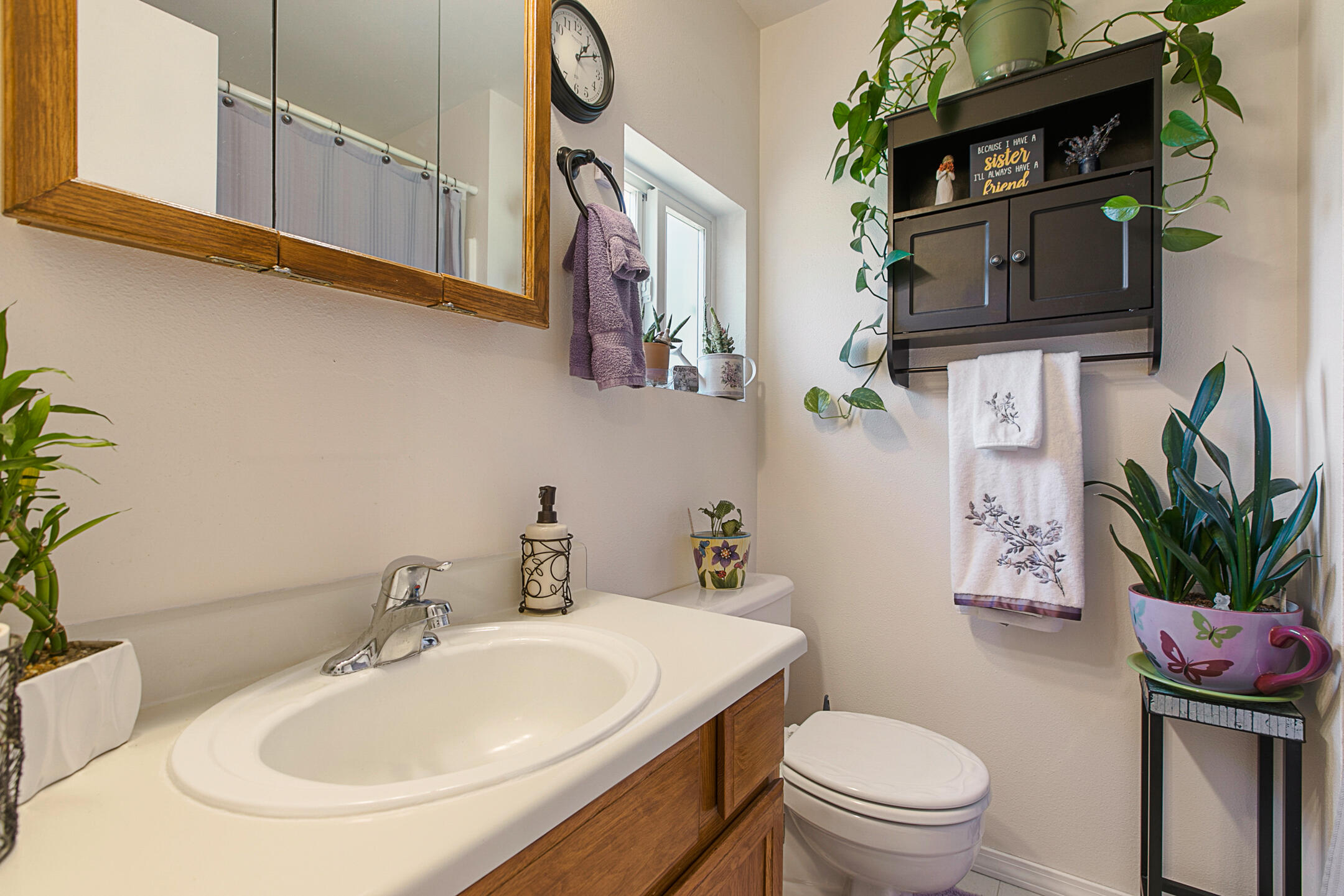 Hayden Village - Residential