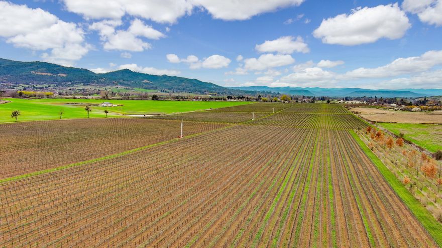On the outskirts of the beautiful and historic town of Jacksonville, Oregon, this 125-acre property offers a rare chance to own a thriving vineyard operation. With 100 acres of flat, established vineyards supported by reliable MID irrigation, this turn-key property is ready for continued success. The vineyard produces several sought-after varietals with a long history of exceptional quality. A 6,000 sq. ft. equipment shop provides ample space for storage and operations, while a 2-acre reservoir ensures consistent irrigation and sustainability. This property offers more than a business—it's a proven investment with strong cash flow and well-documented profit-and-loss records available for review. Perfect for experienced vintners or newcomers to the wine industry, it delivers immediate revenue potential and long-term growth opportunities. Set against the scenic backdrop of Jacksonville, known for its vibrant community and charm, this property combines rural beauty with convenience.