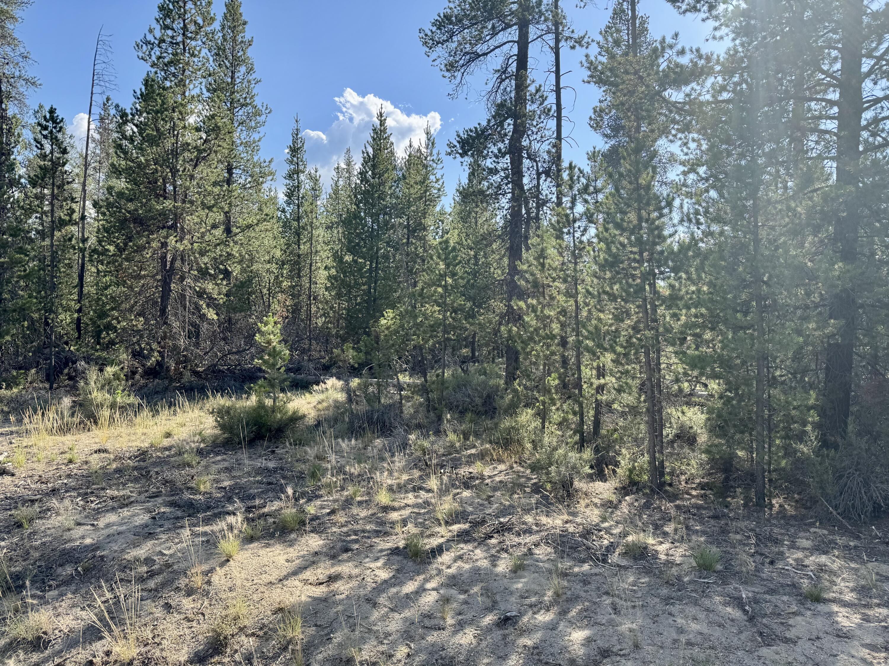 Antelope Meadows - Land