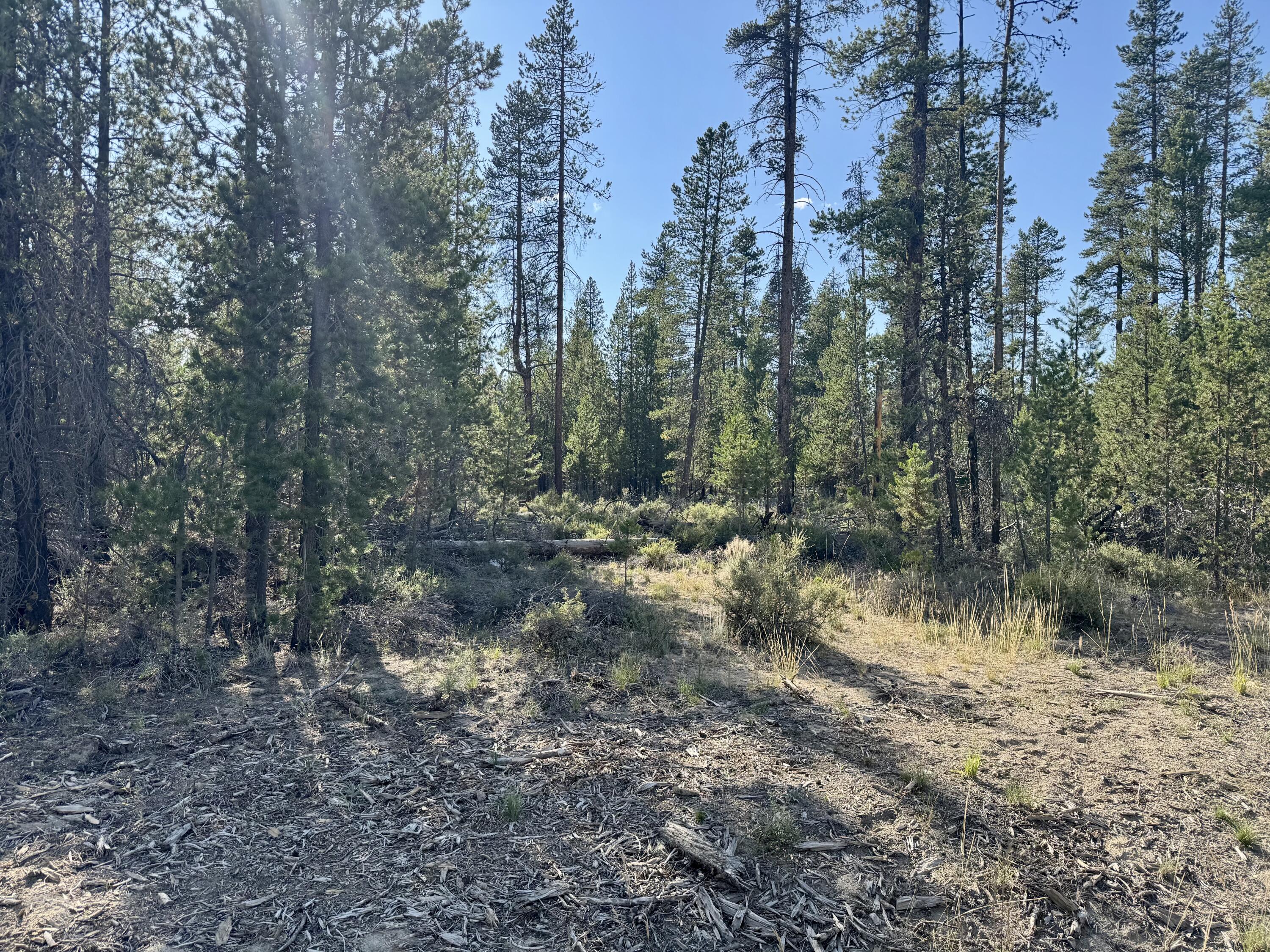 Antelope Meadows - Land