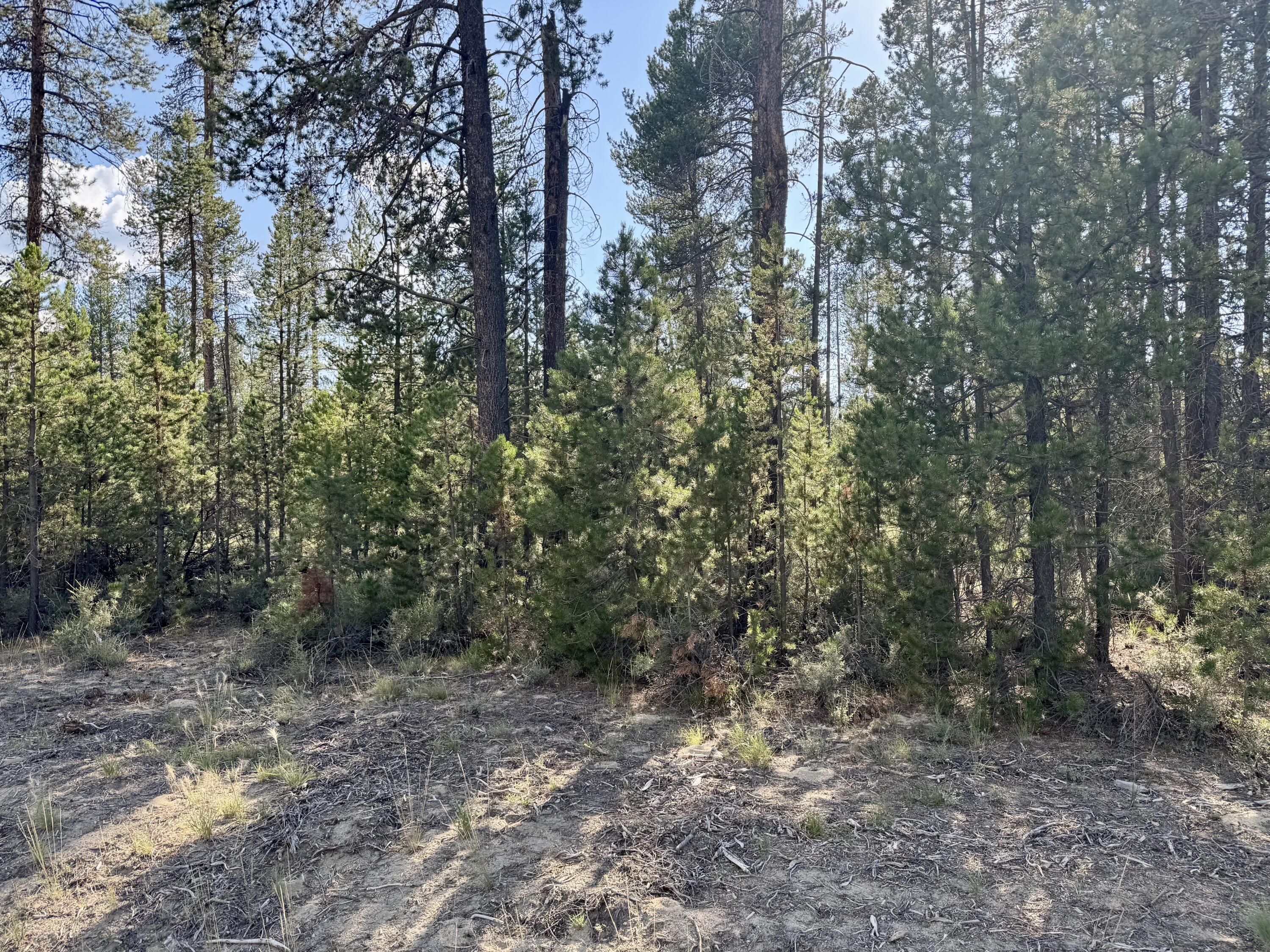 Antelope Meadows - Land