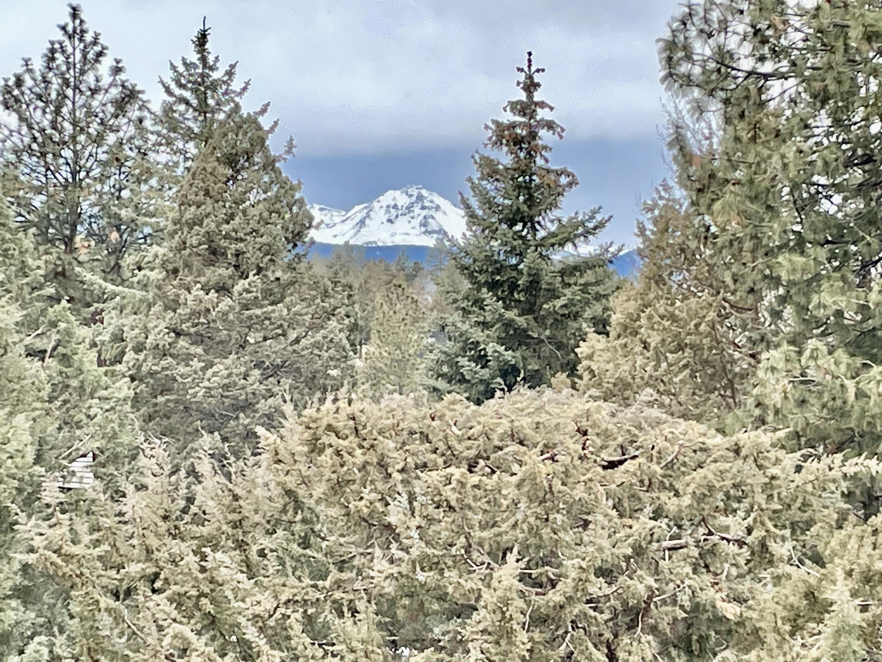 Wyndemere - Residential