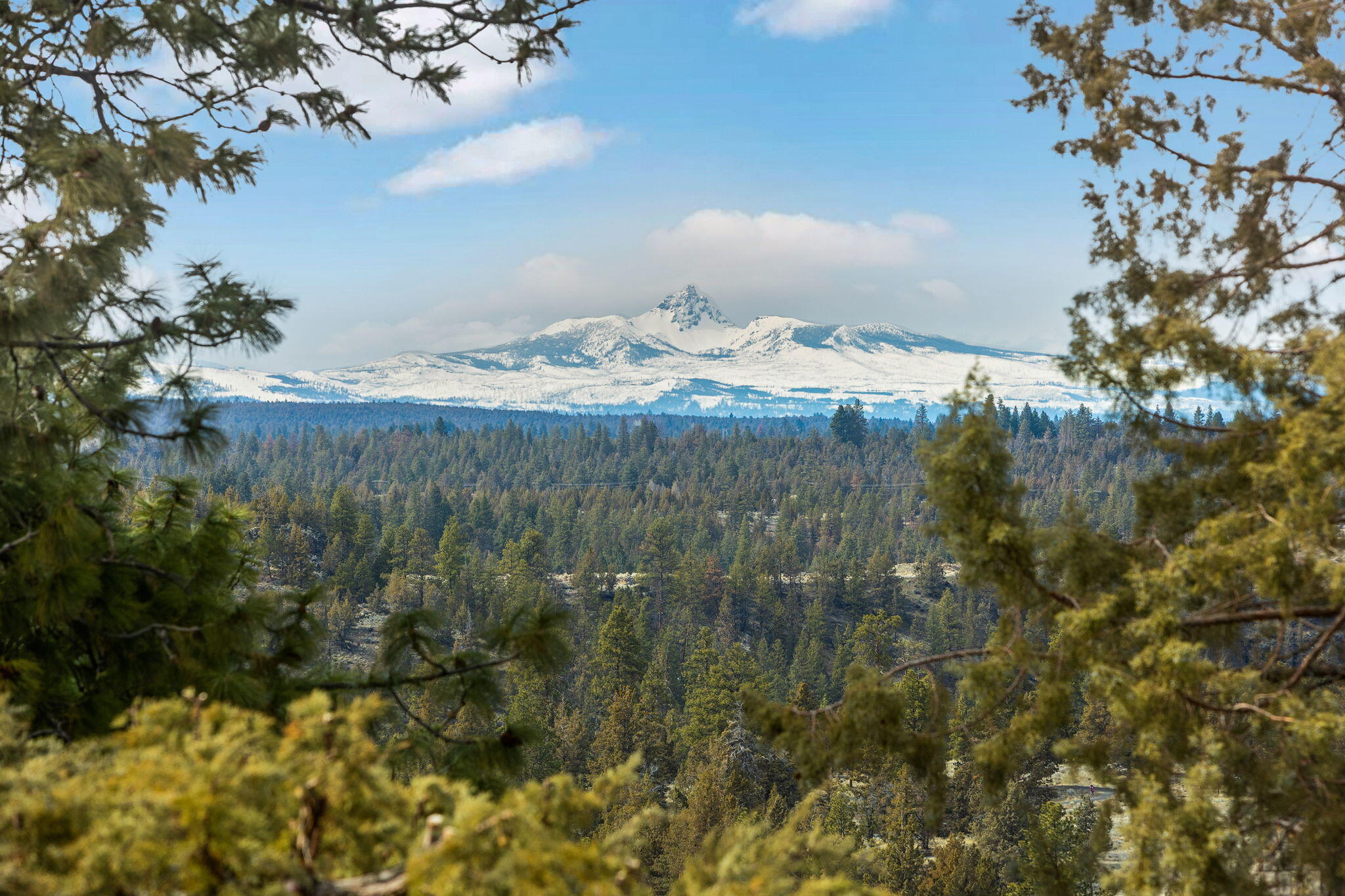 Wyndemere - Residential