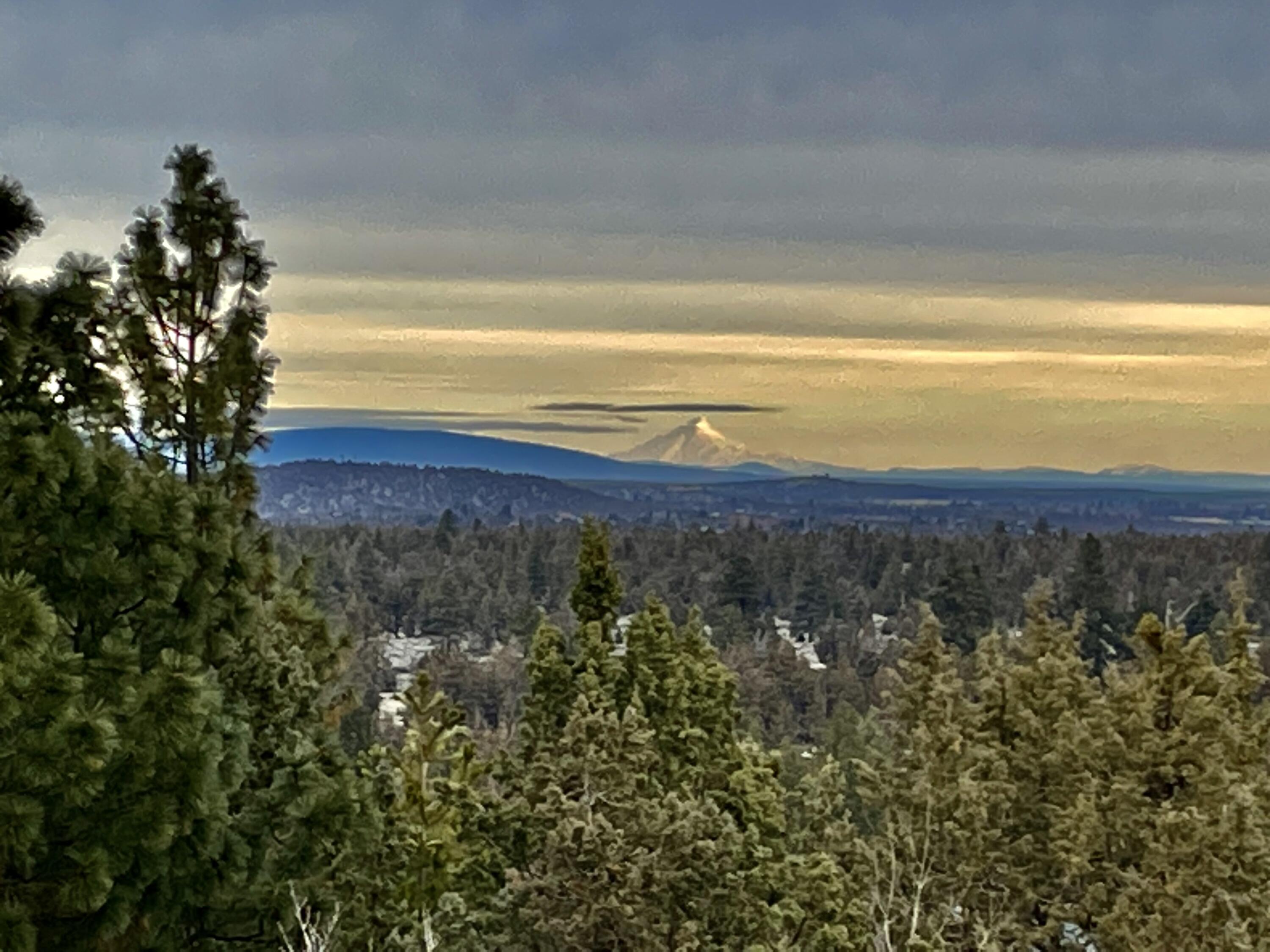 Wyndemere - Residential