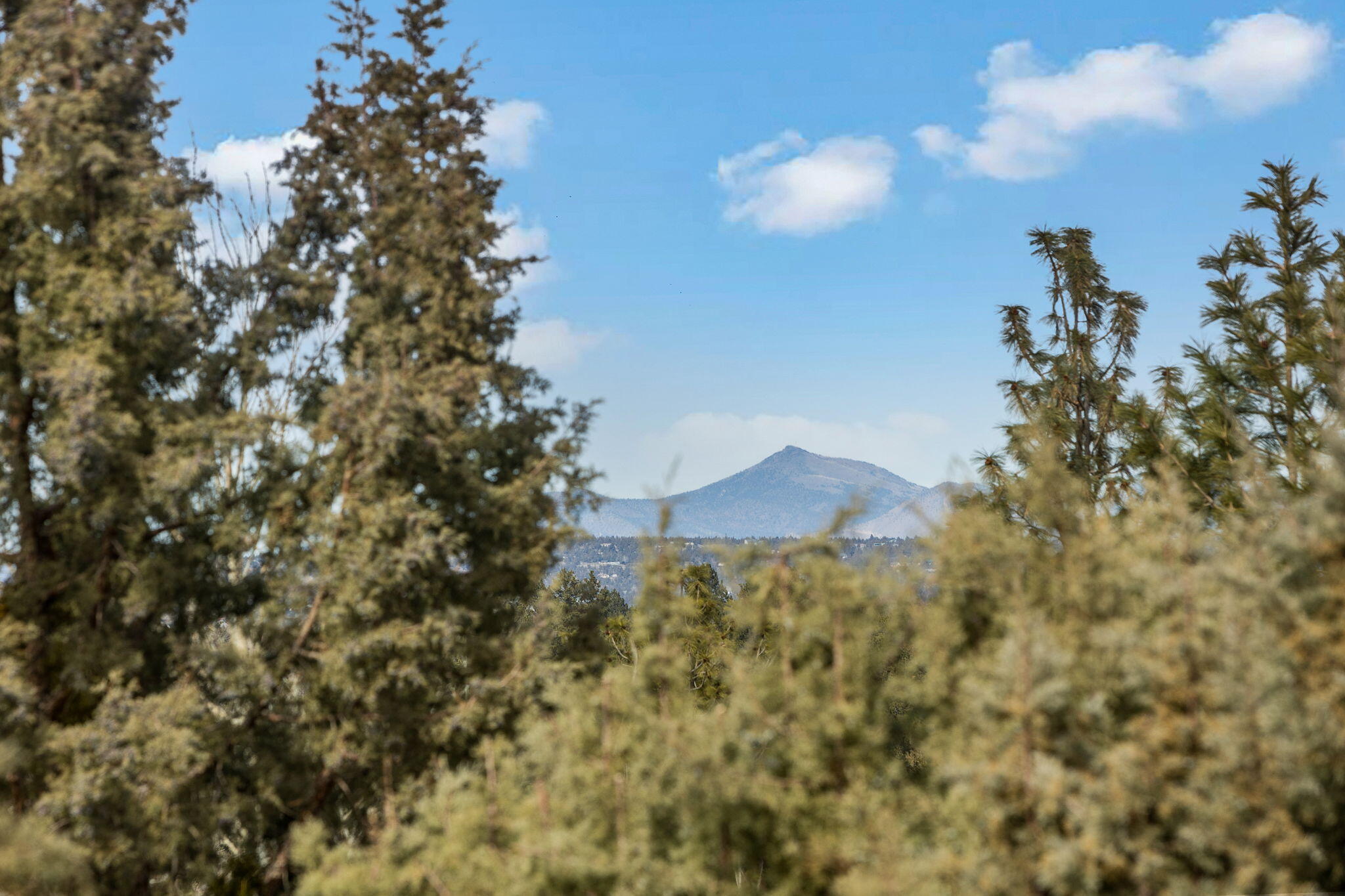 Wyndemere - Residential