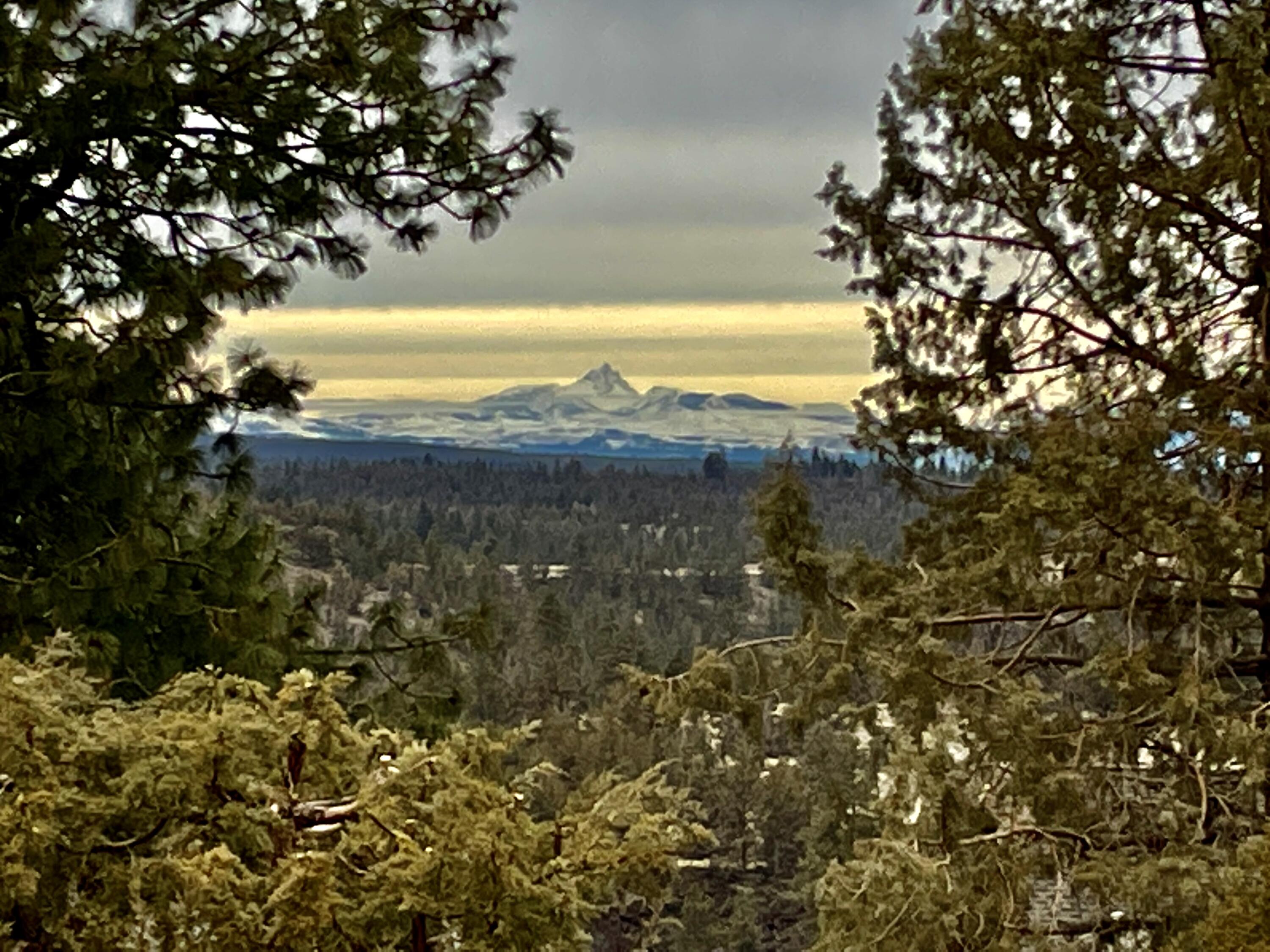 Wyndemere - Residential