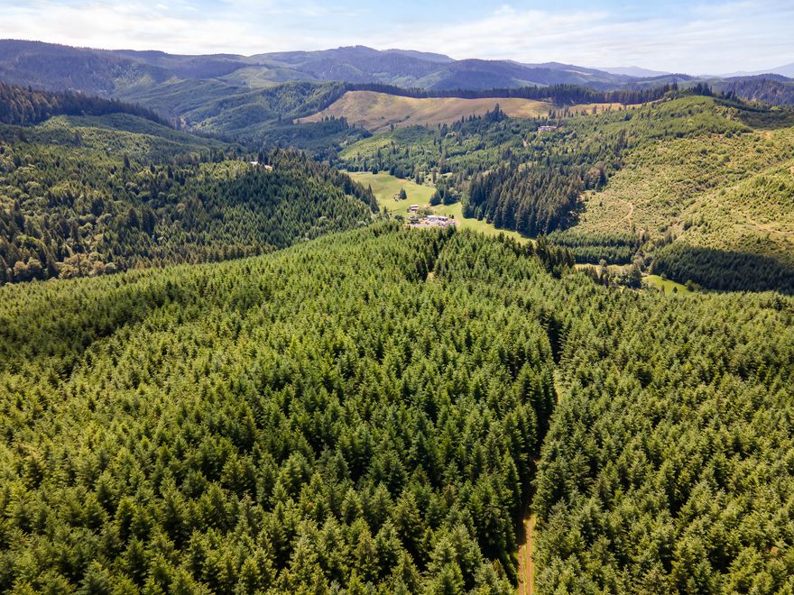 Bear Creek - Douglas encompasses +/-96 acres of commercially managed timberland in north Douglas County. Conveniently located near the I-5 corridor with great proximity to local log markets. The property is private with gated access off of paved N Bear Creek Rd. A graveled main road leads through the land with numerous native surface spur roads providing access to various parts of the acreage. Boasting Site Class II soils, the majority of the property is stocked with 27-year-old Douglas-fir allowing for potential near to mid-term returns. Wildlife including deer and bear frequent the property. The land is zoned TR (Timber Resource), buyer responsible for conducting due diligence with Douglas County with regards to allowable uses.