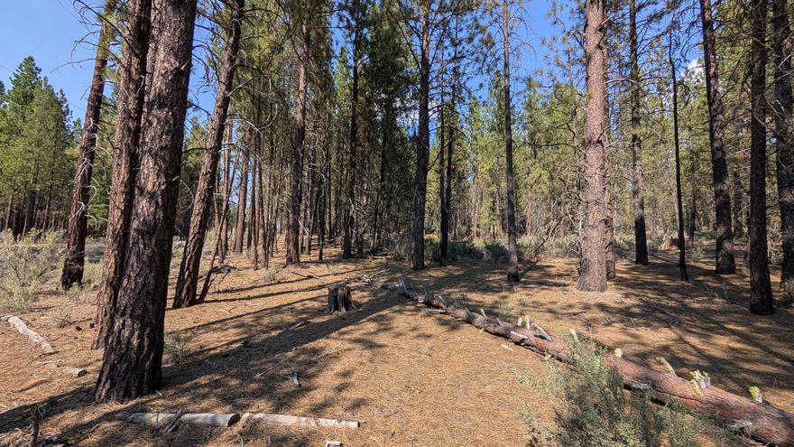 Two lots being sold together, totaling just over 2 acres with plenty of privacy in the pines. Mostly level with power and phone available at the street. Private river access is close by through the communities common area. Buyers to do their own due diligence. Countless outdoor activities are nearby: hiking, kayaking, fishing, Crater Lake, a casino, and more! Owner is an Oregon licensed Realtor.