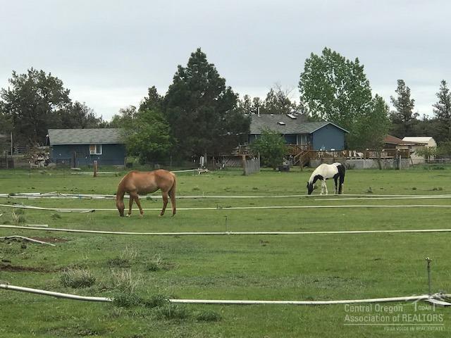 9 View Estate - Residential