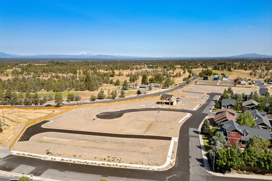 This beautifully designed new build by Stone Bridge Homes NW combines timeless style with contemporary comfort. Step inside to find an open-concept main level featuring a light-filled great room with cozy fireplace, chef-inspired kitchen with a large island, quartz countertops, custom cabinetry, & spacious walk-in pantry. A versatile den & powder bath add flexibility to the layout. Upstairs, retreat to a luxurious primary suite with a tiled walk-in shower, soaking tub, dual vanities, & generous walk-in closet. Three additional bedrooms, full bath, bonus room, & conveniently located laundry room complete the upper level. Outside, enjoy a fully fenced & landscaped yard - perfect for relaxing or entertaining - along with a spacious 3-car garage. Thoughtfully crafted with quality finishes throughout, this home offers the perfect balance of design, functionality, and comfort.