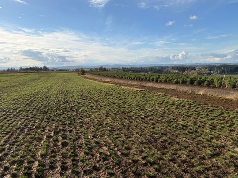 Tiny photo for 39986 Gisler Road, Scio, OR 97374 (MLS # 220214733)