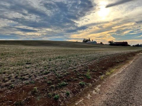 Tiny photo for 39986 Gisler Road, Scio, OR 97374 (MLS # 220214733)