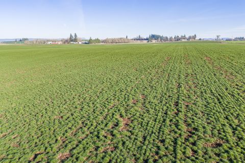 Tiny photo for 39986 Gisler Road, Scio, OR 97374 (MLS # 220214733)