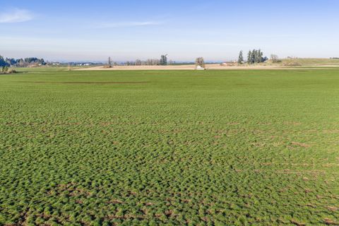 Tiny photo for 39986 Gisler Road, Scio, OR 97374 (MLS # 220214733)