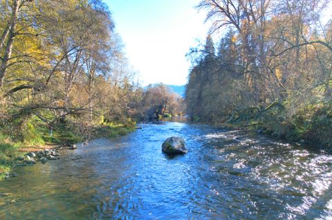 Photo of 13731 Highway 238, Applegate, OR 97530 (MLS # 220212336)