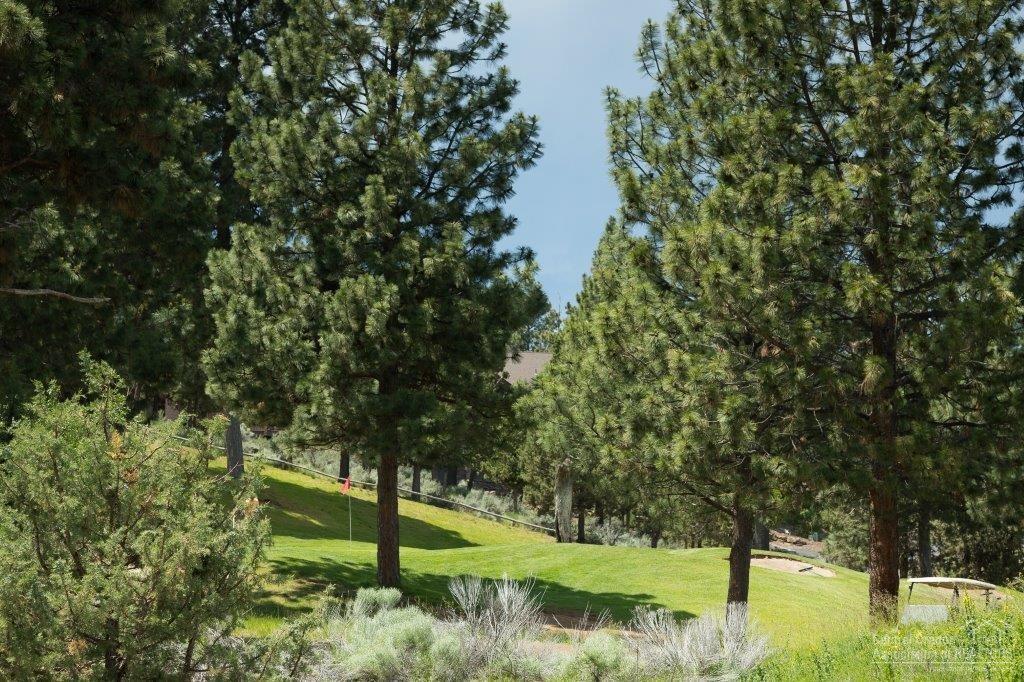 Rivers Edge Village - Residential