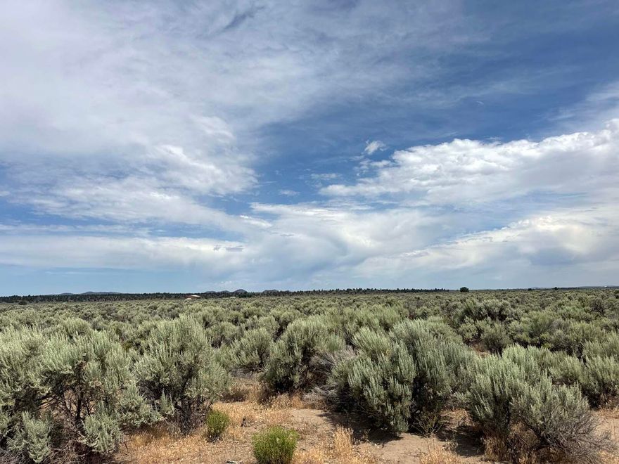 15 Acres, Zoned A2, power nearby, packed gravel road just off of Millican Road and just north of Raven Ridge on the west side. Follow my signs for easy access. This lovely parcel looks out over one of the large pivot lines for hay production. Watch the abundant antelope and deer graze, and watch the coyotes play in the fields. 15 acres in Christmas Valley is plentiful and offers many homestead opportunities to grow and play.