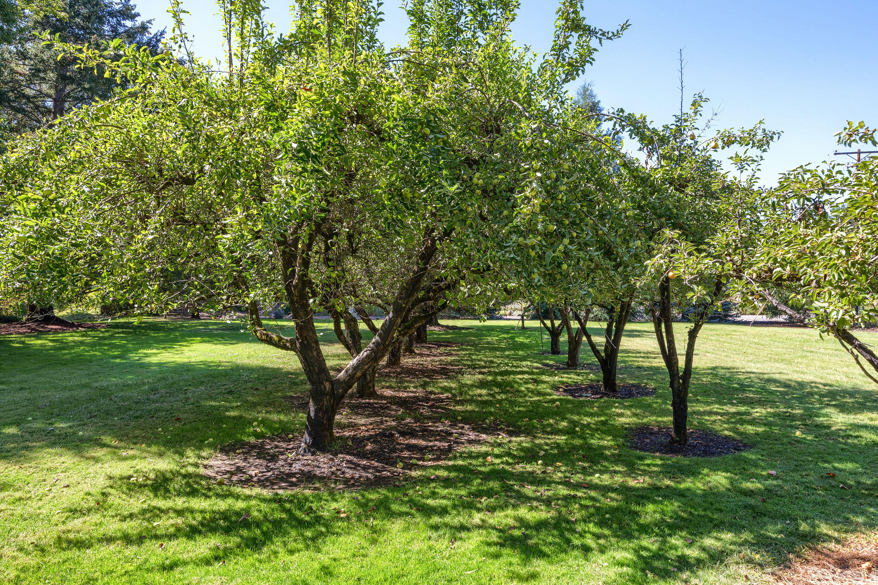 Roguewoods Estates Subdivision - Residential