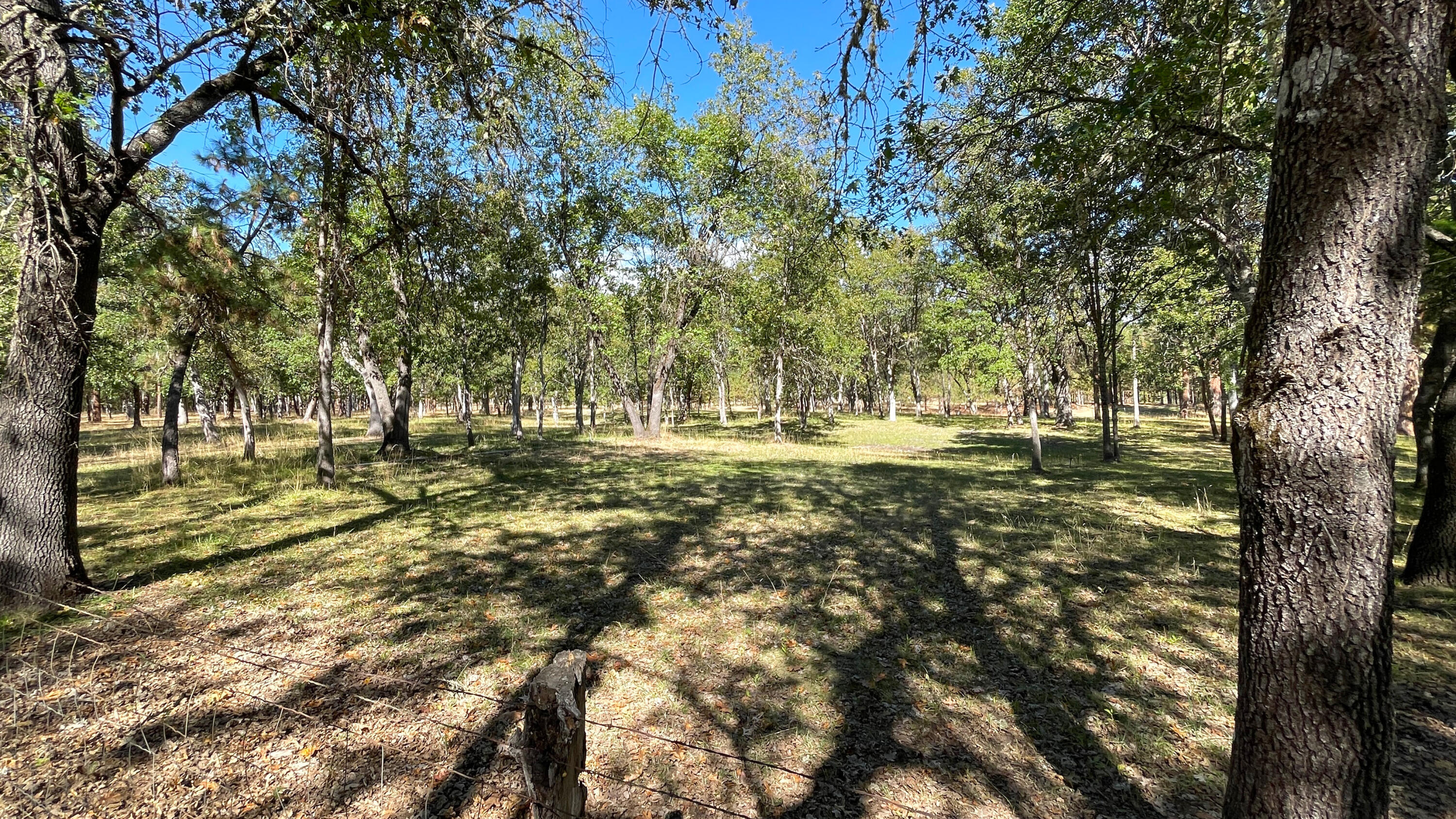 Roguewoods Estates Subdivision - Residential