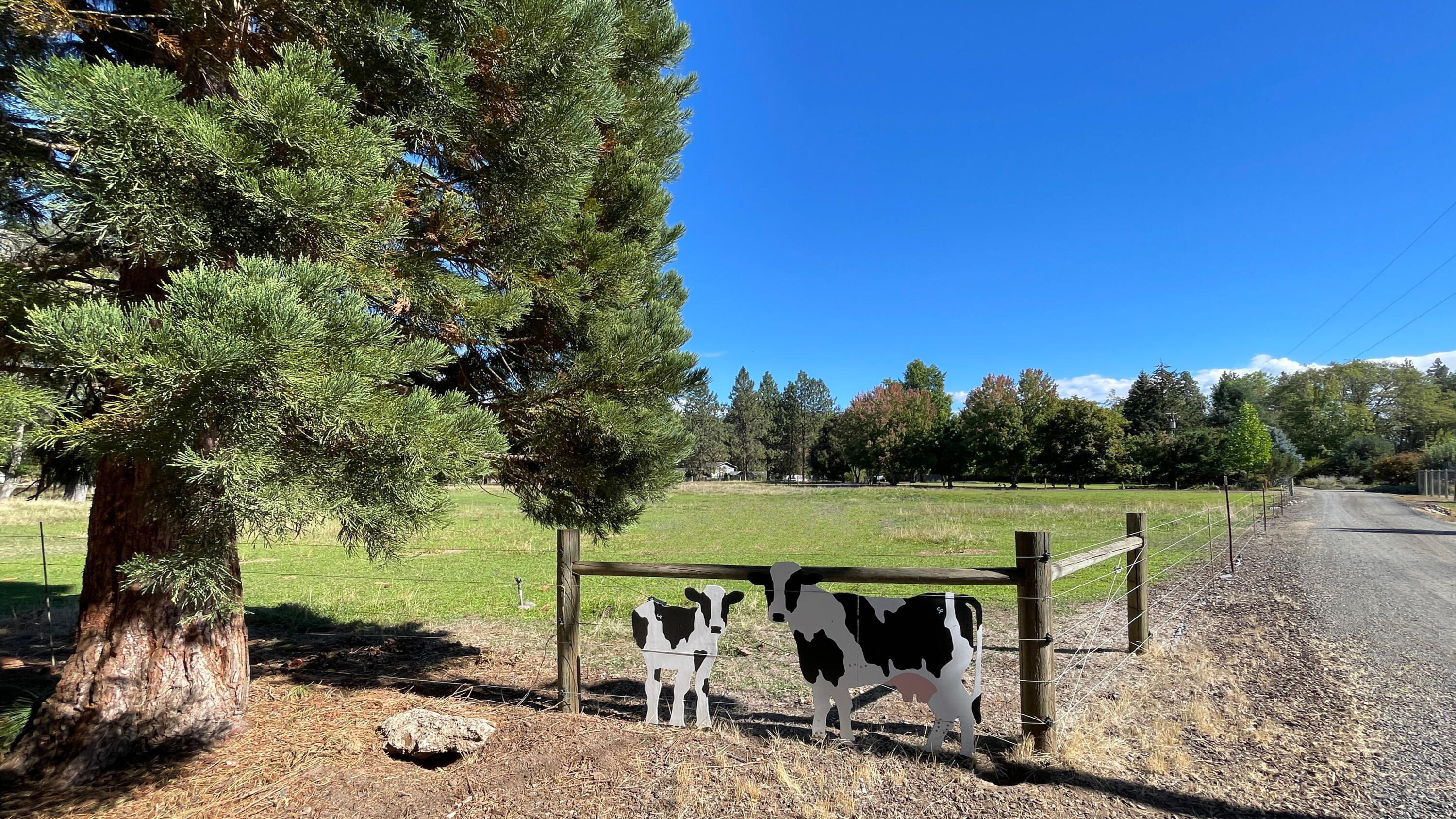 Roguewoods Estates Subdivision - Residential