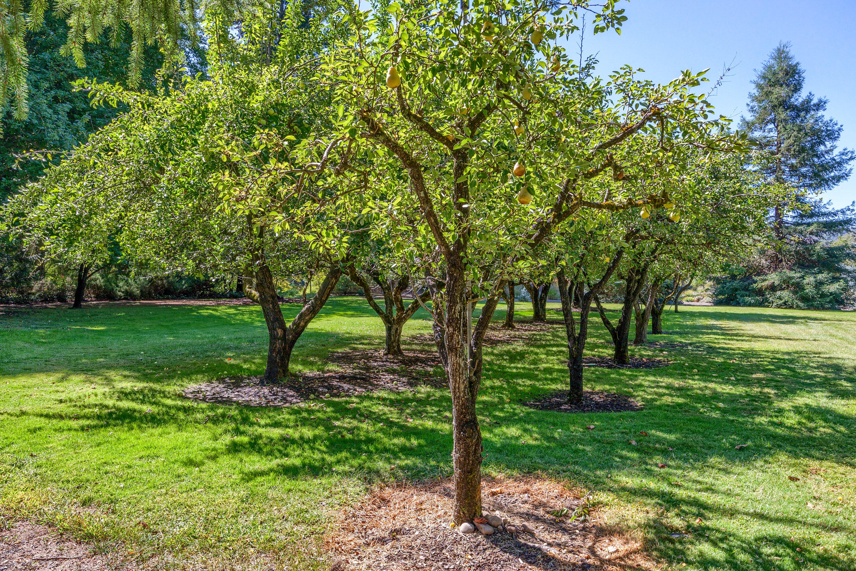 Roguewoods Estates Subdivision - Residential