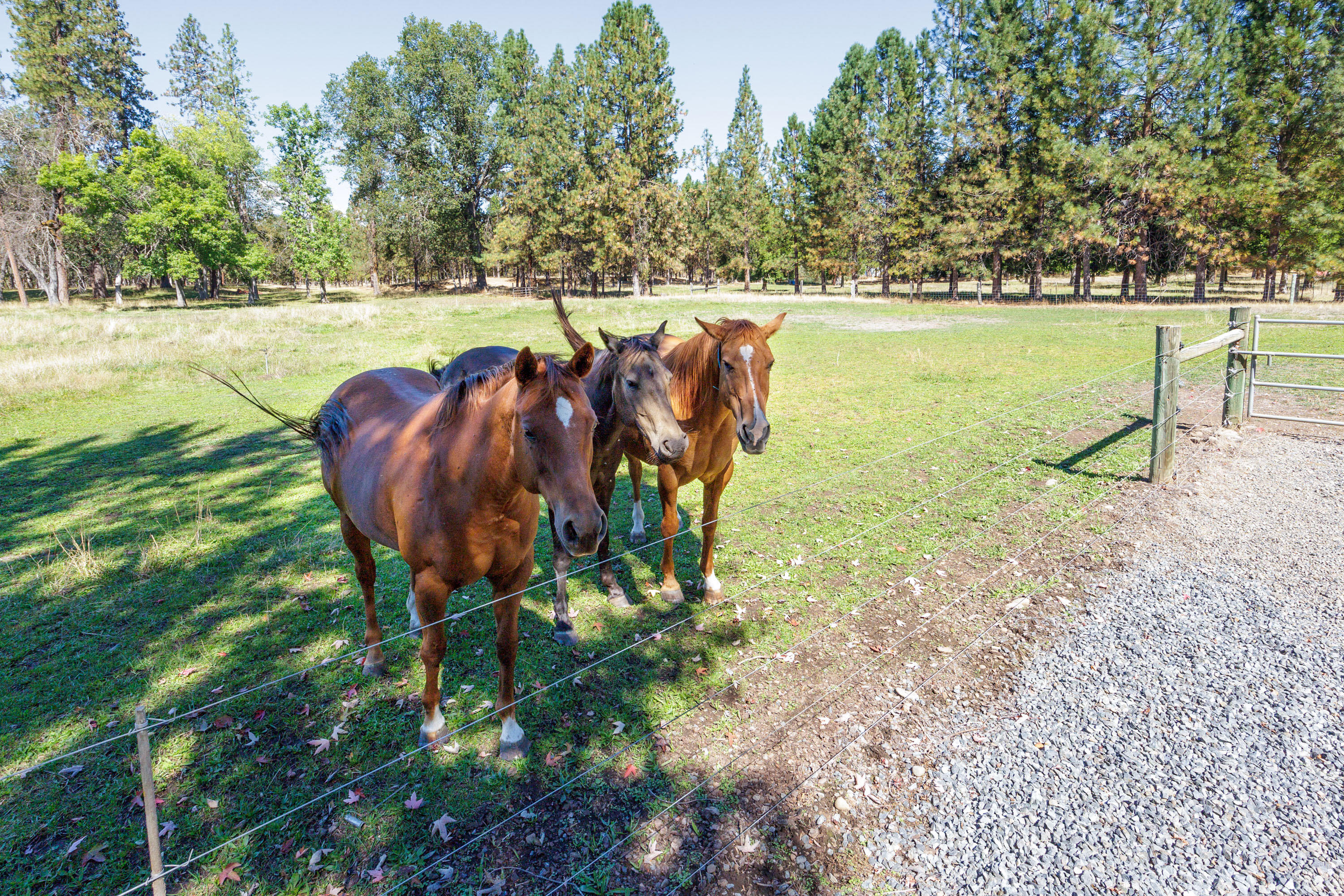 Roguewoods Estates Subdivision - Residential