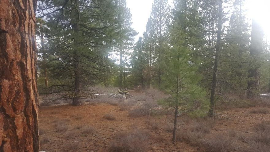 Beautiful Waterfront Pine Covered Acreage. The Williamson River Fronts This Property into the Mid Summer Months of the Year. Property Does have an Existing Septic System that was Approved for Use in 1985. Seller Can Not Guaranty the Condition of Septic System. Buyers to do their Own Due Diligence regarding any Well or Septic Information