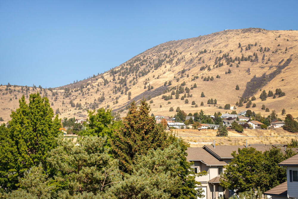 Partridge Hill -Phase 1 - Residential