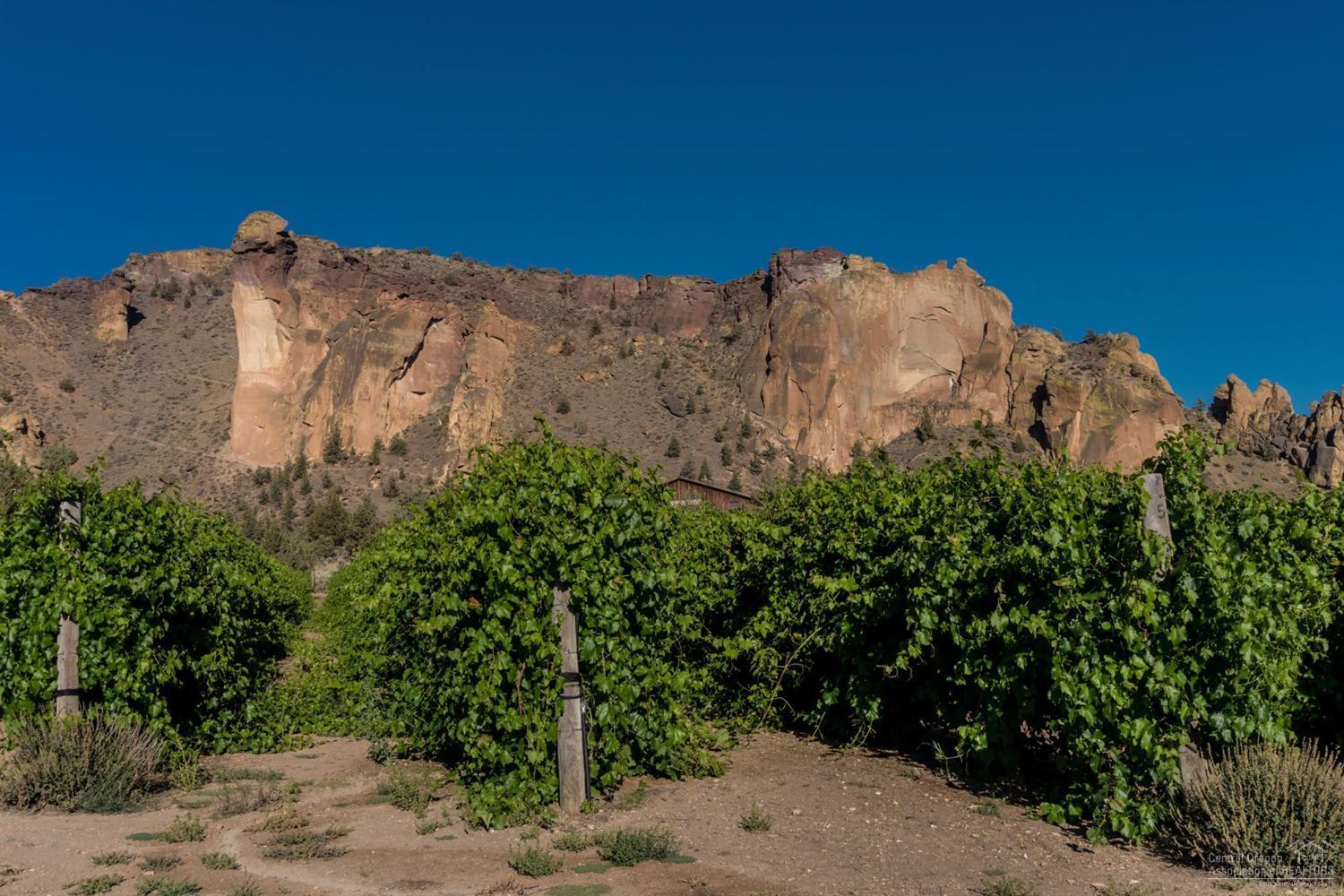 Ranch at the Canyons - Residential