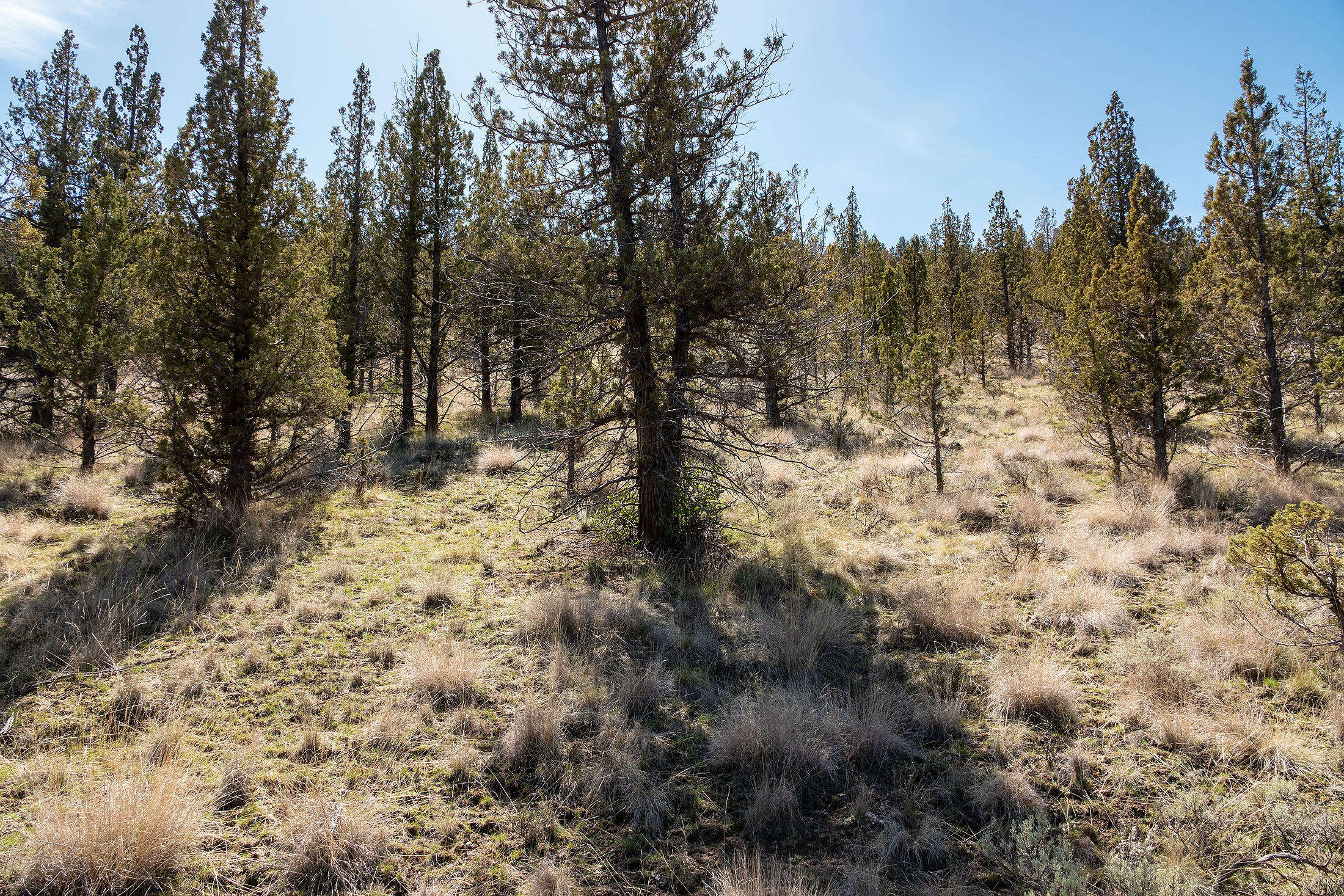 Crescent Rim Estates - Land